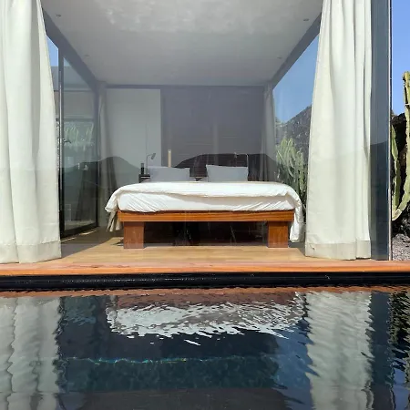 Wake Up To Nature In Modern Glass House