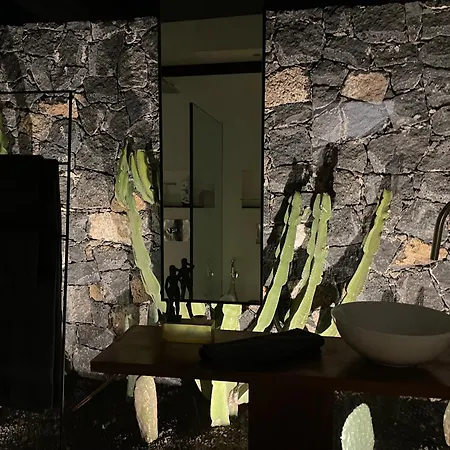 Wake Up To Nature In Modern Glass House Villa *