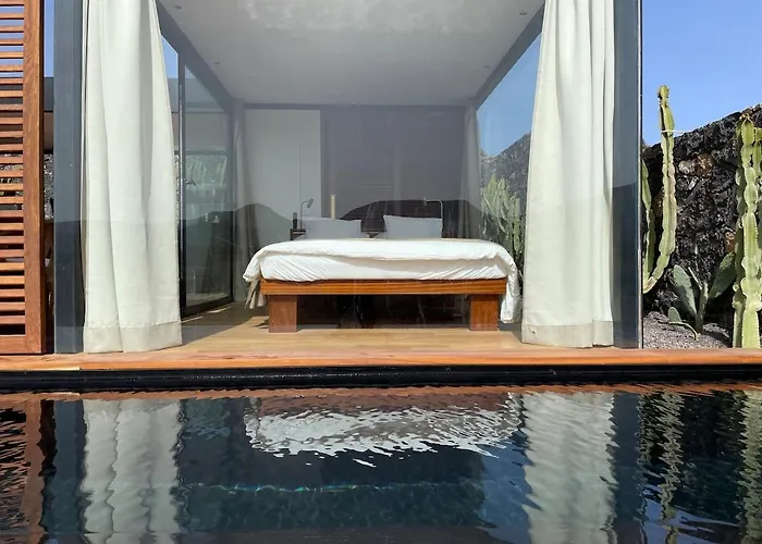 Wake Up To Nature In Modern Glass House