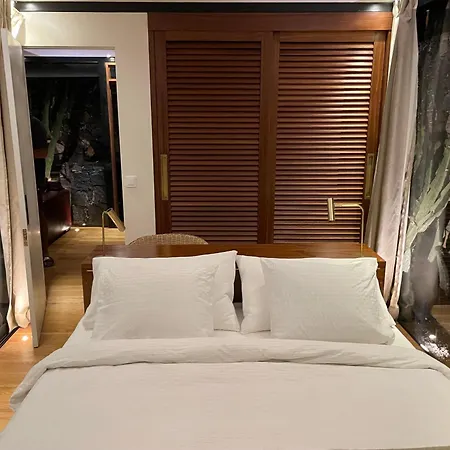 Wake Up To Nature In Modern Glass House * Пайара